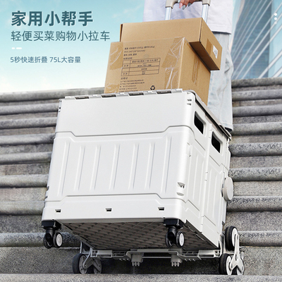 CARTÃO DE COMERCIAS PIAGÃO DE ESCALHADORES PARA COMPRAR VERDAS CARTÃO DE MANUAL PARA OUTDOOR CAMPEIRO CASTÃO DE PICNIC PARA COMPRAR VERDAS CARTÃO
