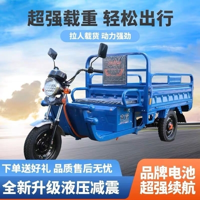 TRICÍCULO ELÉTRICO CAMION LOAD WANG NOVO ESTANDARDO NACIONAL CARRO ELÉTRICO EXPRESSO CARRO STALL TRICÍCULO VEÍCULO AGRICULTURAL GRATUITO