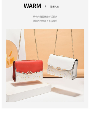 2024 NOVA MODA DE BOLSA DE MUJERES DIAGONAL versão coreana da bolsa de bolso de mulher todo o bolso de ombro
