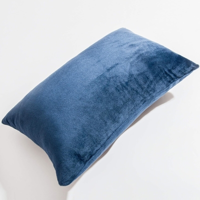 NTBAY 2 Pacotes de almofadas Velvet King com fecho fechado, super suave e aconchegante Luxury Fuzzy Flannel Pillow Cases com fecho fechado, 20x36