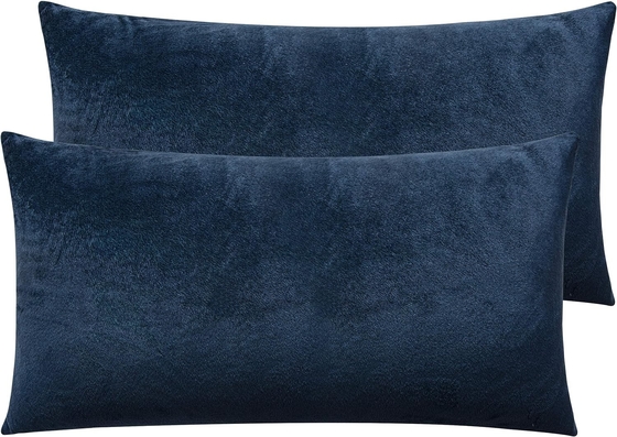 NTBAY 2 Pacotes de almofadas Velvet King com fecho fechado, super suave e aconchegante Luxury Fuzzy Flannel Pillow Cases com fecho fechado, 20x36