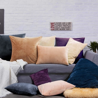 NTBAY 2 Pacotes de almofadas Velvet King com fecho fechado, super suave e aconchegante Luxury Fuzzy Flannel Pillow Cases com fecho fechado, 20x36