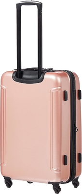 Moonlight Hardside bagagem expansível com rodas giratórias, ouro rosa, comprimido-médio 24 polegadas