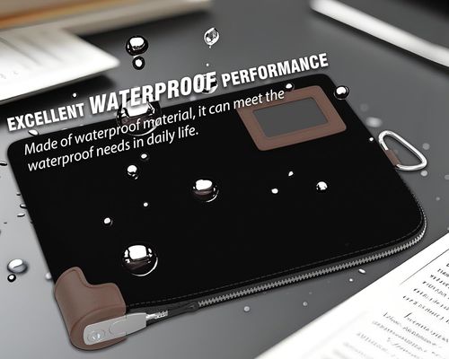 Bolsa para Dinheiro, Bolsa para Cartório com Fechadura, 2 Chaves, Bolsa Impermeável para Documentos, Bolsa para Dinheiro com Zíper, 11,7 X 8,3 Polegadas, Sacos para Depósito e Carteira de Viagem Protegem Passaporte, Dinheiro, Cheques, Cartões de Crédito